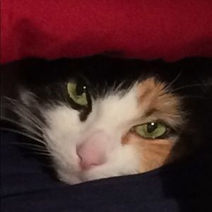 Meet your Posher, Tracy